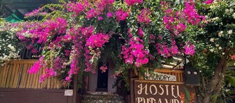 Hostel Pura Vida