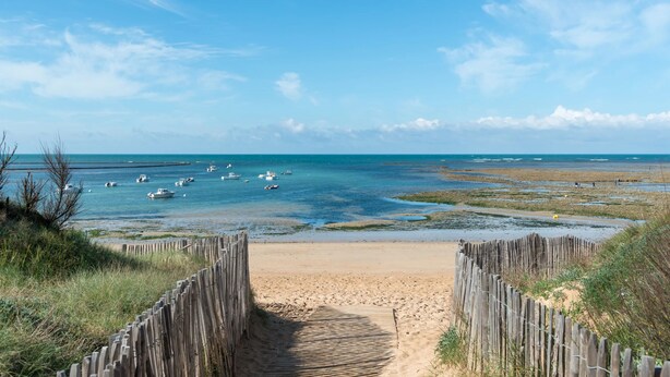 A sandy beach with a wooden pathway leading to the water, boats in the distance, and a clear blue sky. - Furnished apartment with swimming pool (Saint-Georges-d'Oléron)