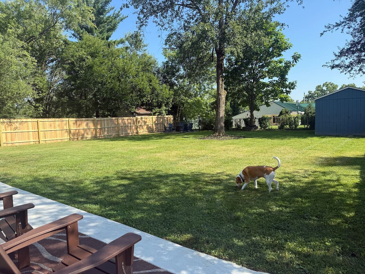 Terrein van de accommodatie