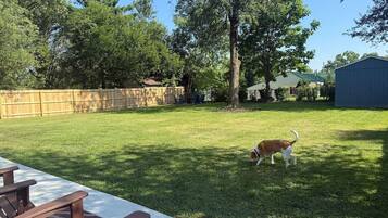 Terrein van de accommodatie