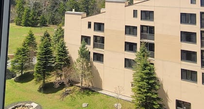 Pedal & Powder Retreat @ Silver Creek! 2 Bedroom Ski In/Out, Night Skiing, Pool