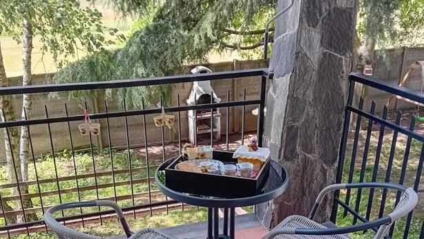 室外用餐
