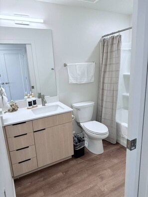 Hair dryer, soap, shampoo