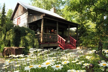 Cabin in the Summer...