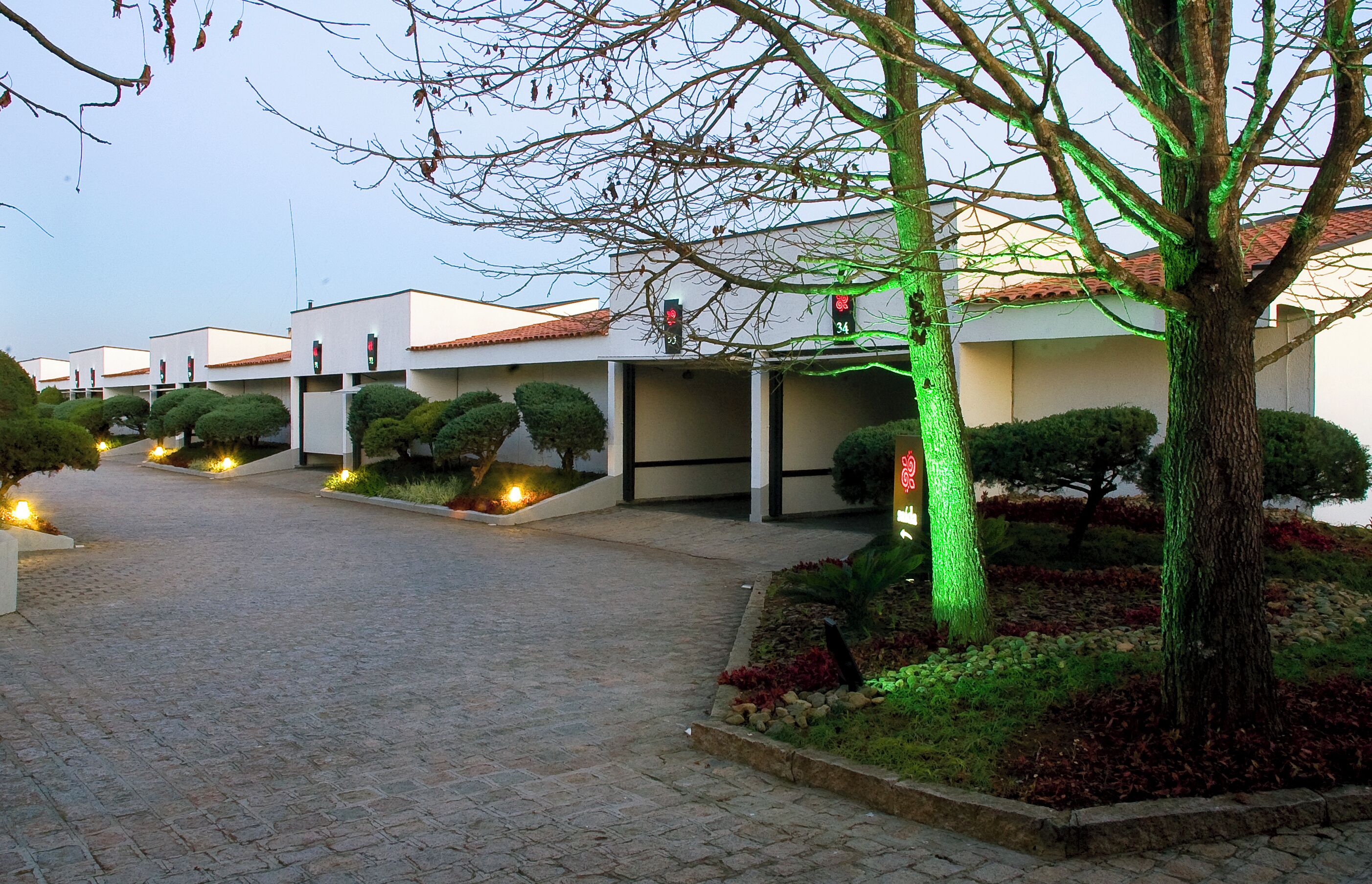 Un sendero conduce a una hilera de edificios modernos, con un camino pavimentado y zonas ajardinadas con arbustos y árboles podados.