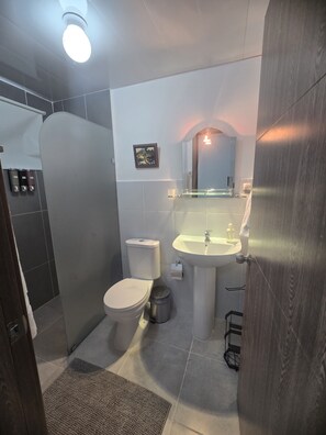 Shower, towels, soap, toilet paper