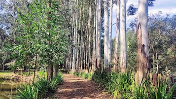 Entrada de la propiedad