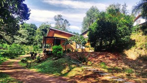 Une maison rustique en bois, dotée d’un porche, entourée d’une végétation luxuriante et accessible par un chemin de terre.