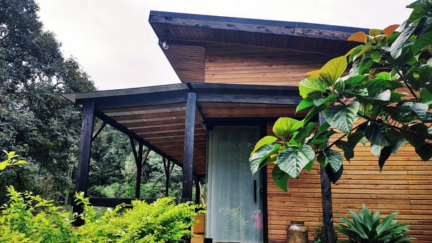 Une maison moderne en bois, dotée d’un porche abrité et entourée d’une végétation luxuriante.