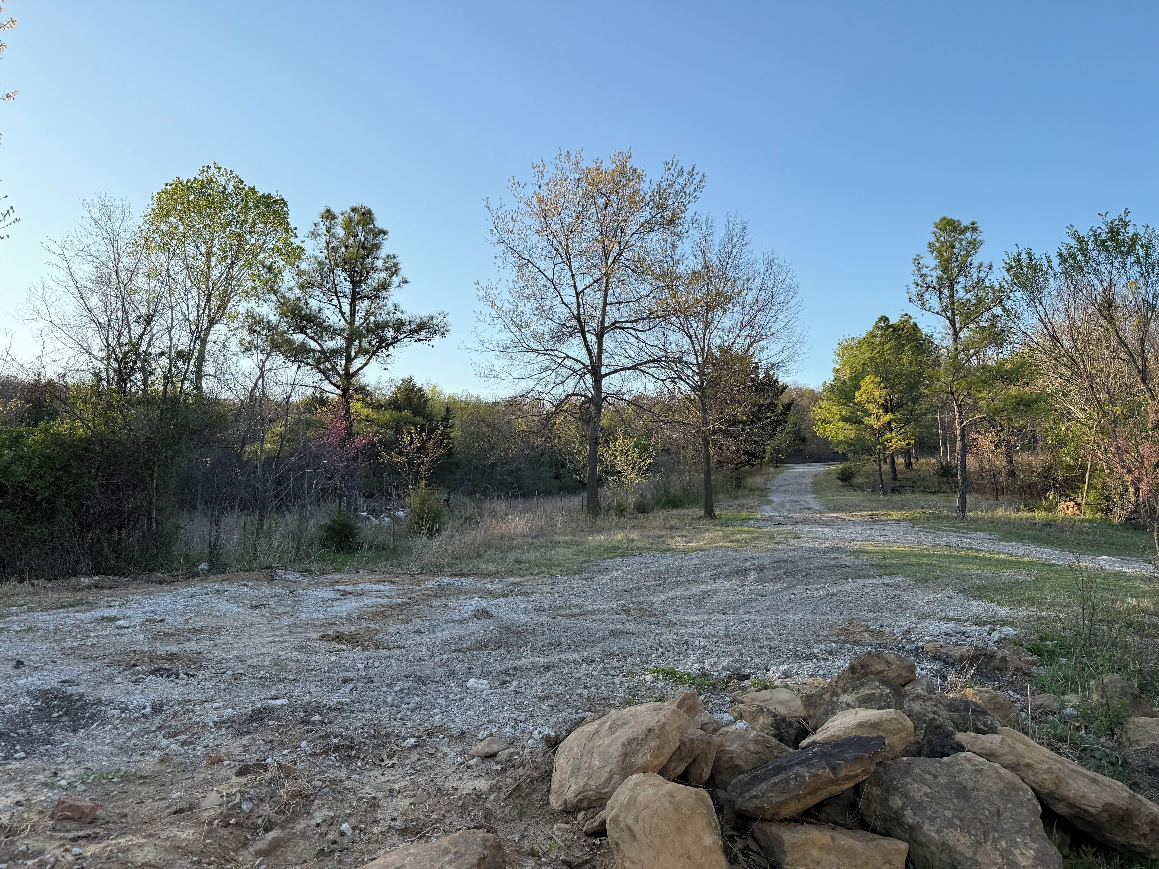 A gravel path leading through a wooded area with trees and rocks.