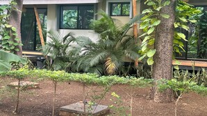 A modern building with large windows, surrounded by lush greenery and trees.