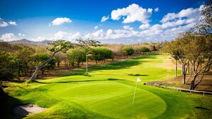 A golf course with a flag, trees, and a clear sky.