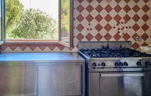 Fridge, stovetop, dishwasher