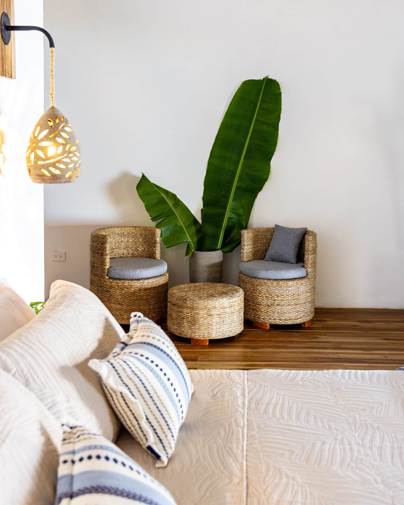 A room with two wicker chairs, a large green plant, and a hanging light fixture.