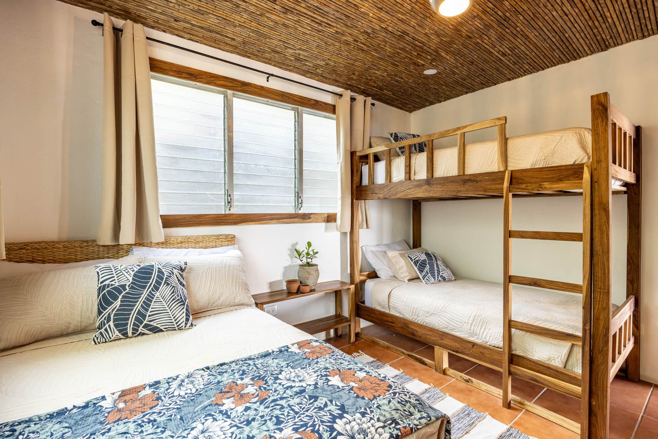 A room with a bunk bed, a window with blinds, a bedside table with a plant, and a patterned rug.