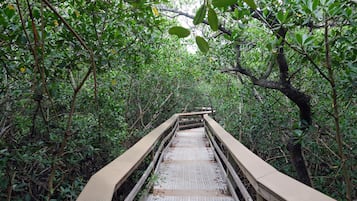 A wooden bridge with a metal surface, surrounded by dense green foliage.