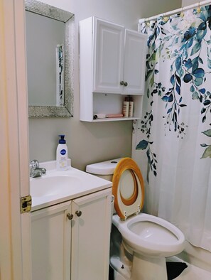 Hair dryer, towels, soap, shampoo - Gorgeous and Serene Private Room in charming Washington with WiFi, AC (Washington)