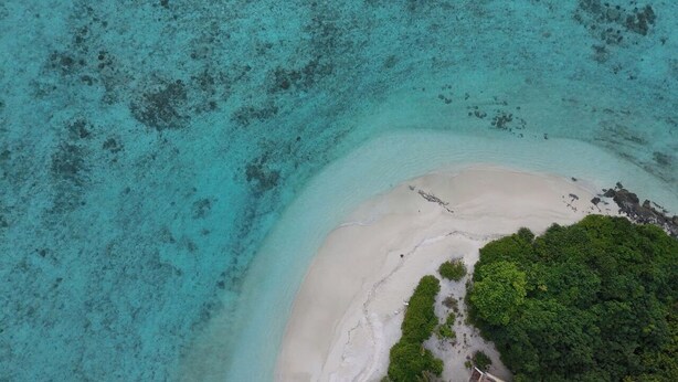 An aerial view of a beach with clear turquoise waters, a sandy shore, and dense green vegetation. - Velana Vibes – Your Tranquil Getaway in the Heart of Mathiveri, Maldives (Mathiveri)