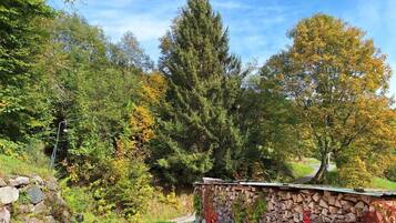 Ferienhaus | Unterkunftsgelände