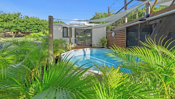 Una piscina rodeada de exuberante vegetación, una terraza de madera y una casa moderna con amplios ventanales.