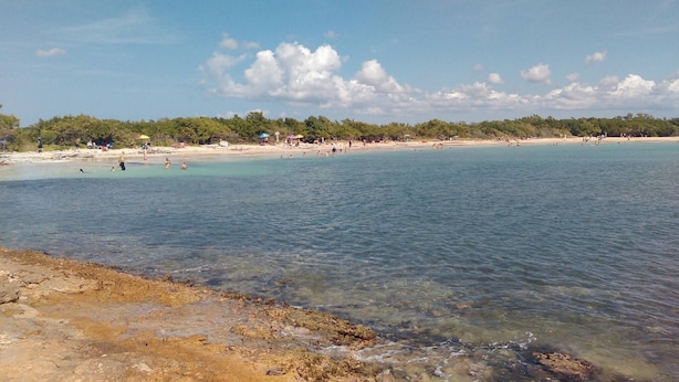 Ein Strand mit klarem, flachem Wasser, einem felsigen Vordergrund und einer entfernten Baumgrenze.