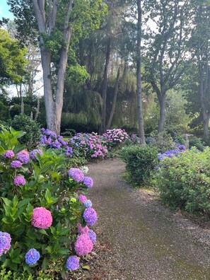 Overnattingsstedets uteområder