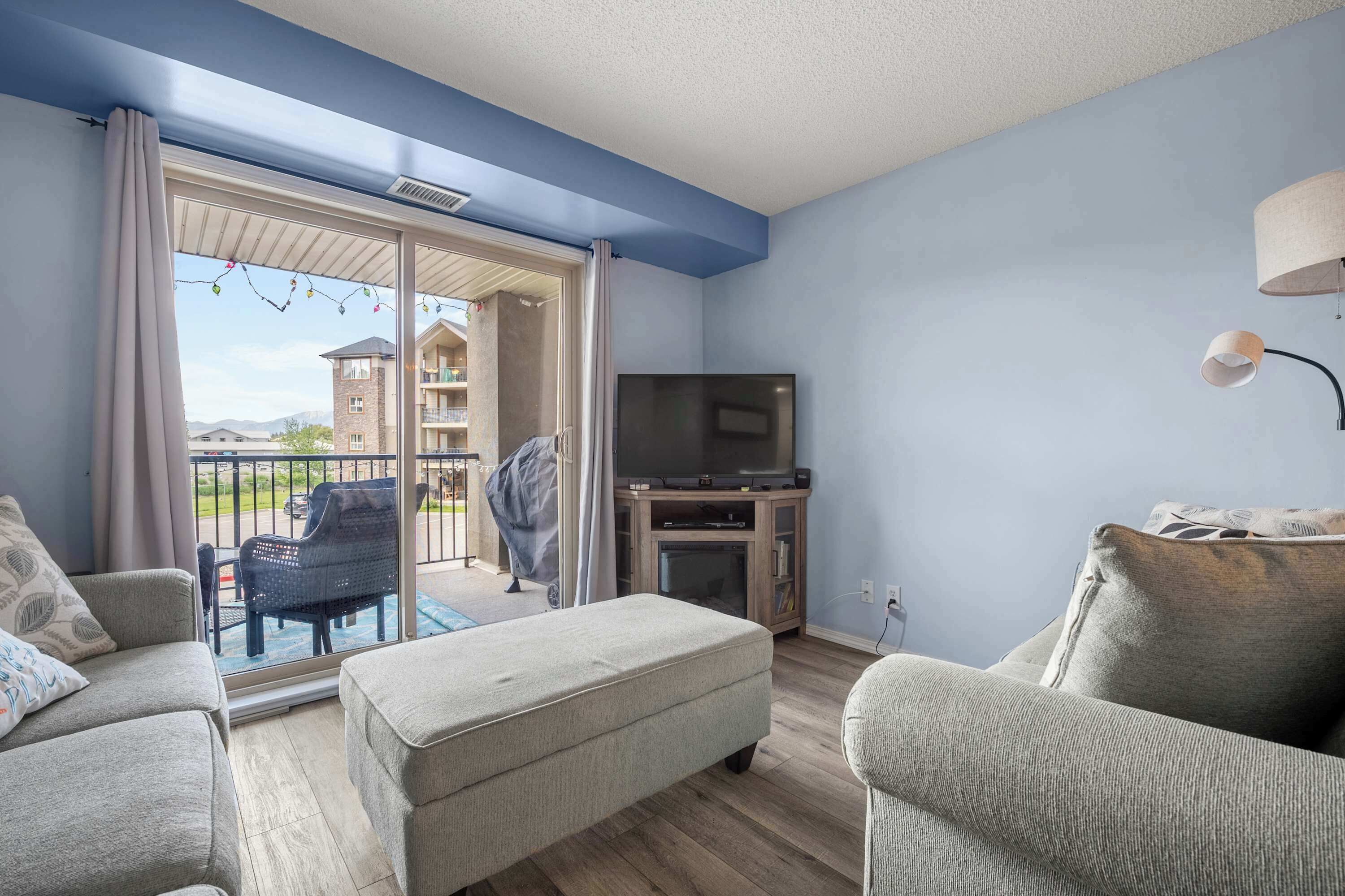 电视、壁炉、电子游戏、DVD 播放器