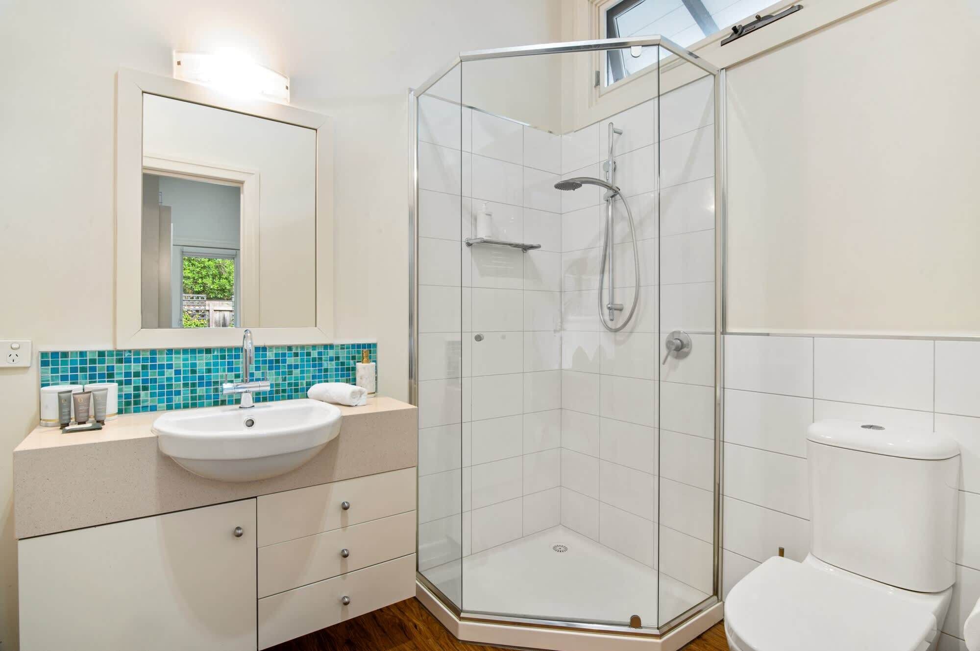 Shower, hair dryer, towels