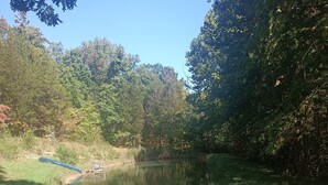Un paysage naturel avec un étang, entouré d’arbres et d’herbe.