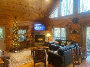 TV, fireplace, books