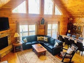 TV, fireplace, books