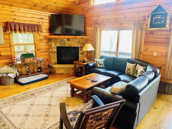 TV, fireplace, books