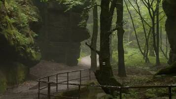 House | Miscellaneous