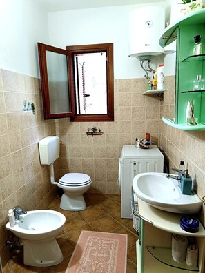 Shower, hair dryer, bidet, towels