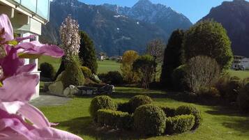 House | Property grounds