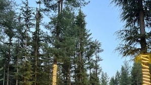 A forested area with a small outdoor seating area featuring tables and chairs, surrounded by trees and a stone pathway. - Infinity Villa and Resort Kumrat Valley (Kumrat Valley)