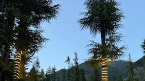 A lodge with a stone pathway leading to a fire pit area, surrounded by tall trees and a mountainous backdrop. - Infinity Villa and Resort Kumrat Valley (Kumrat Valley)