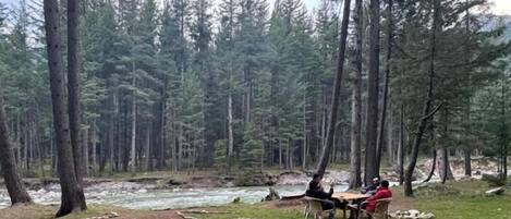 A forested area with a river, a picnic table, and people sitting.