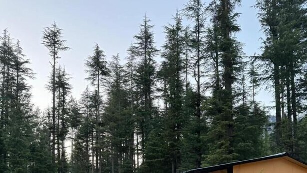A lodge with outdoor seating and a stone pathway leading to the entrance. - Infinity Villa and Resort Kumrat Valley (Kumrat Valley)