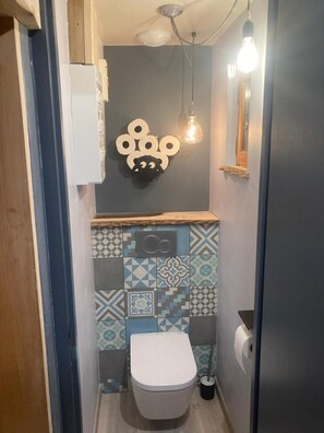 Shower, hair dryer, toilet paper