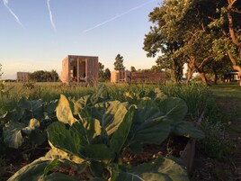 Minibar, caja de seguridad en la habitación y decoración personalizada 