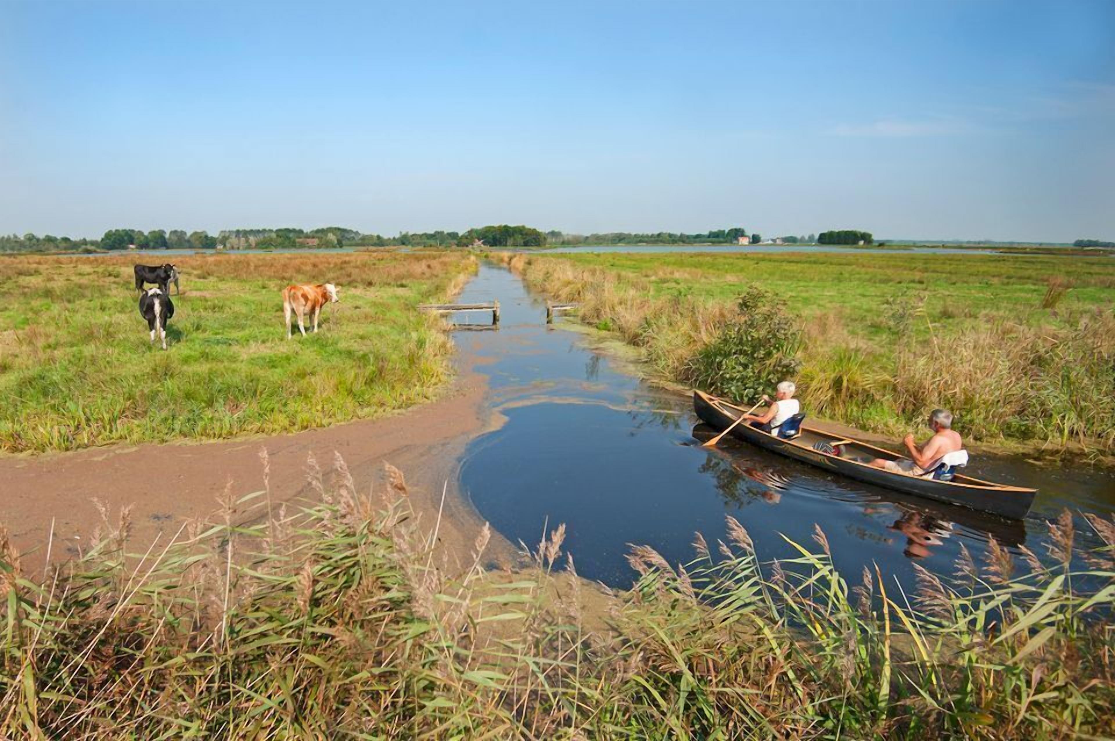 A river with a narrow path and a wooden bridge.