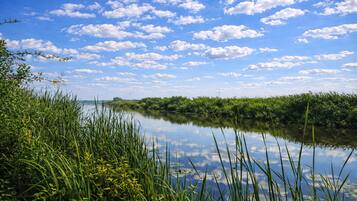 Un río tranquilo con abundante vegetación y un cielo azul despejado con algunas nubes.