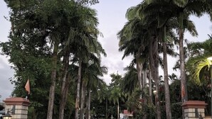 A road leading into a gated area with palm trees and a speed limit sign of 15.