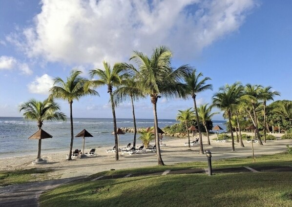 On the beach, sun loungers