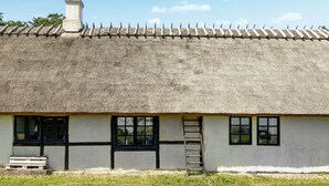 Una casa tradicional con techo de paja, chimenea, ventanas y una escalera apoyada en la pared.