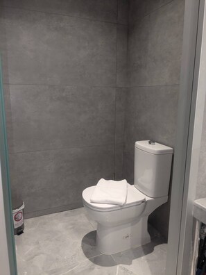 Shower, towels, toilet paper