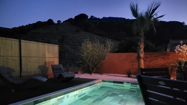 Une piscine dotée d’une terrasse carrelée, entourée de chaises longues et d’un palmier.