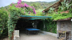 Un espacio al aire libre cubierto con mesa de ping pong, rodeado de vegetación y un muro de piedra.