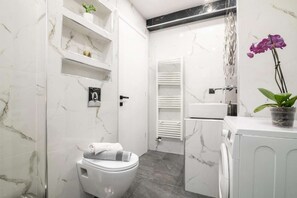 Shower, hair dryer, towels